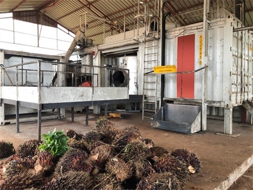 Usine de transformation d’huile de palme FFB au Cameroun