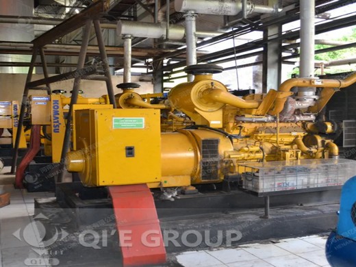 Presse à vis pour huile de palme à chaud et à froid 6yl-130 au Sénégal