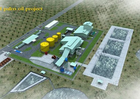 Comment démarrer une usine de transformation d’huile de palme au Cameroun ?